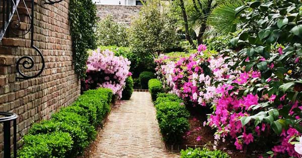 Come see Charleston's beautiful houses and gardens with Exclusively Charleston, private guided tours.